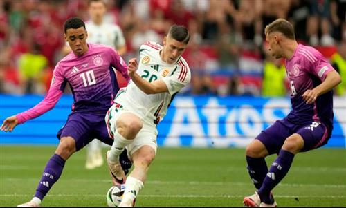 Stoke Betting: Ultimate Guide and Strategies